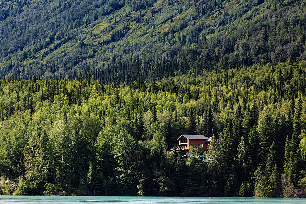 House in the Forest Dream in Islam